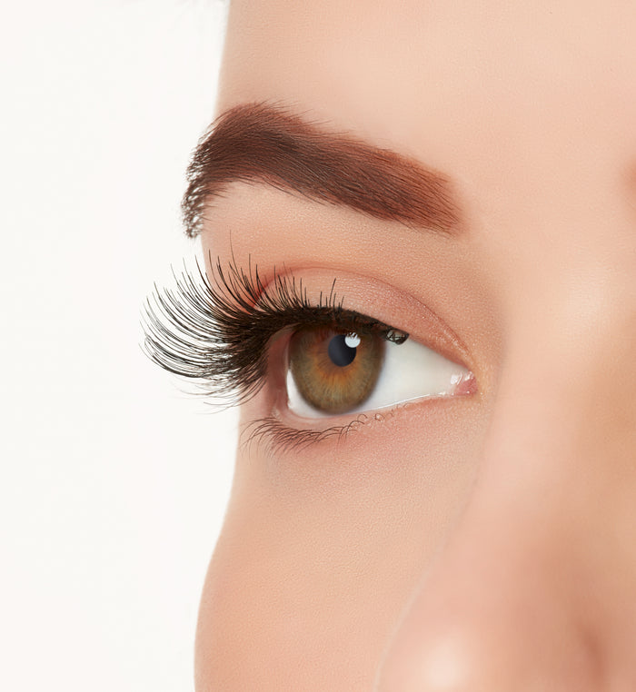 Ardell Demi Luvies Strip Lashes