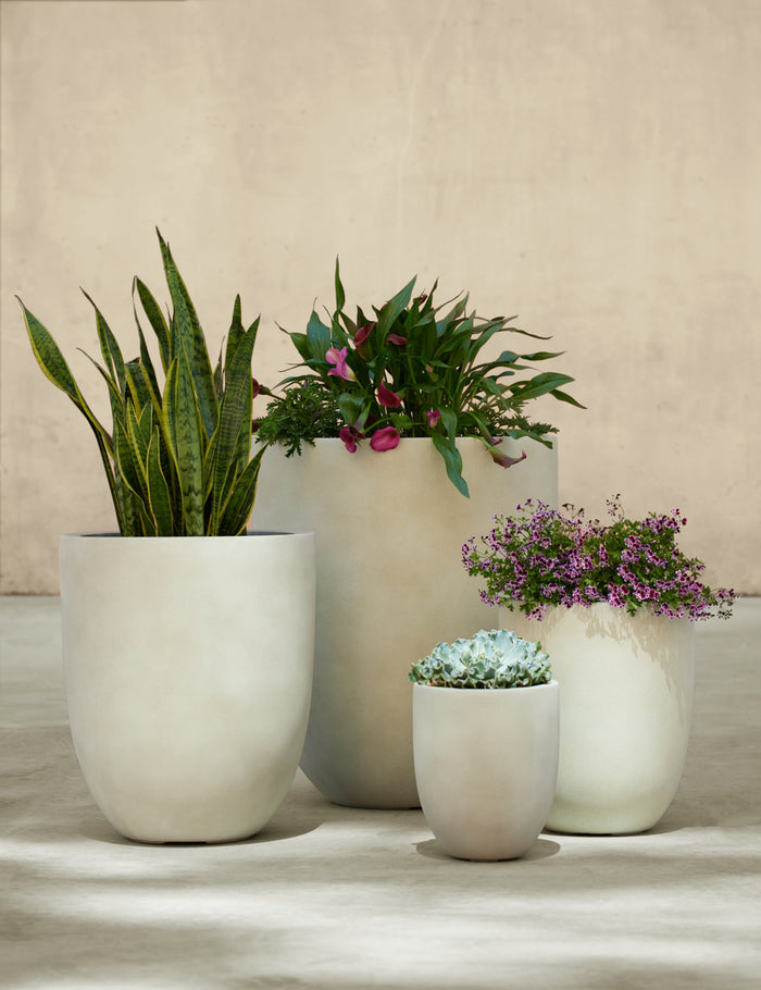 #color::ivory #size::large