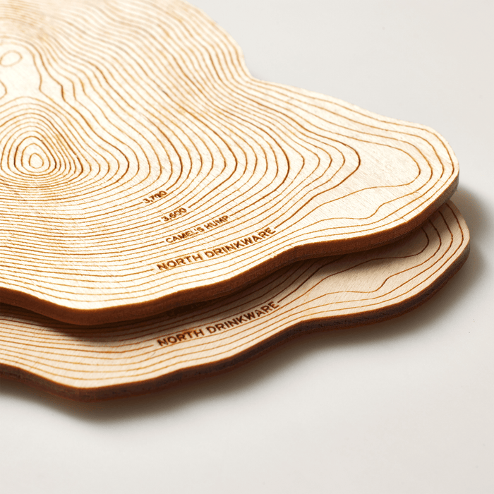 The Camels Hump Coaster Set - North Drinkware