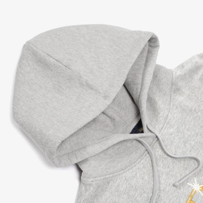 Classic Shiny Hoodie