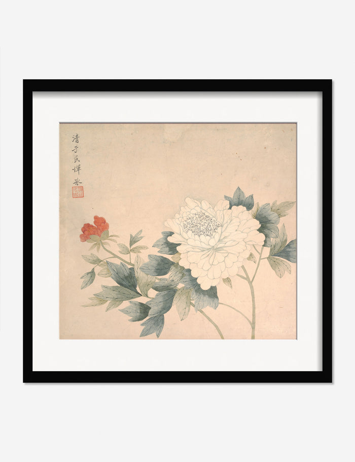 #frame-option::framed #color::black #size::275--x-295-