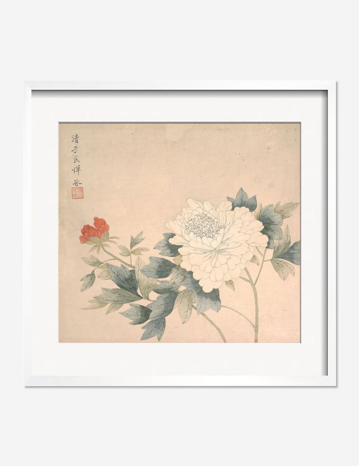 #frame-option::framed #color::white #size::275--x-295-