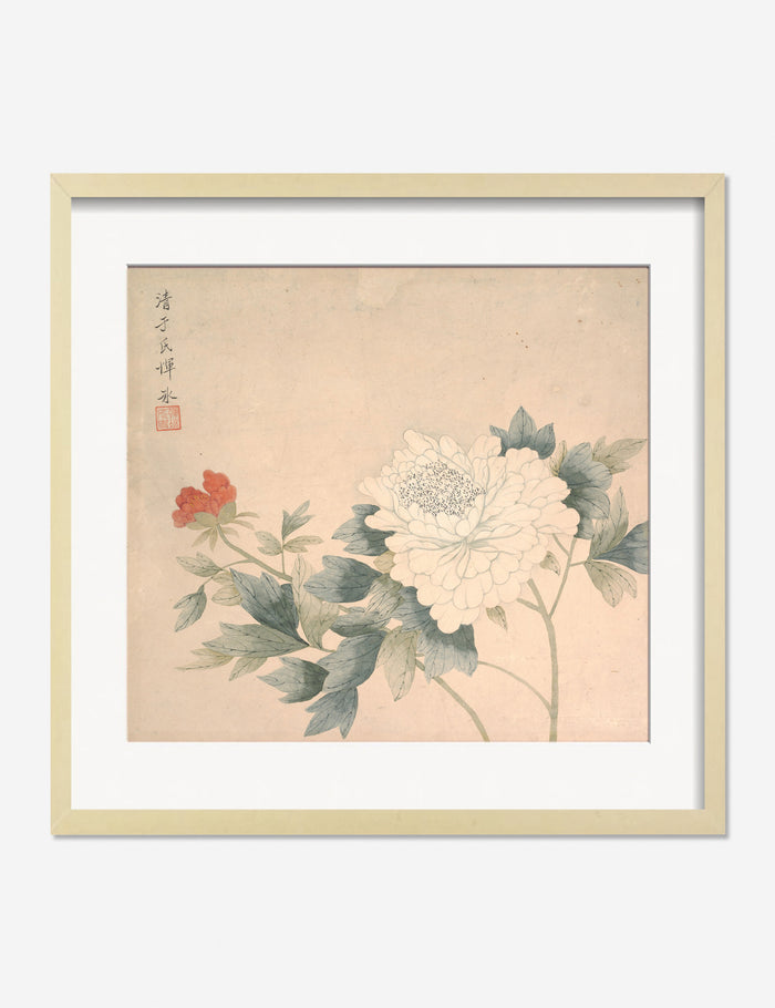 #frame-option::framed #color::natural #size::275--x-295-