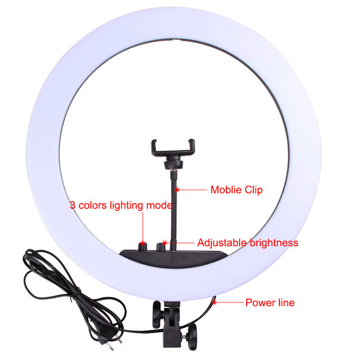 Halo Light Ring Lamp
