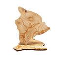 The Hawaiʻi Coaster Set - North Drinkware