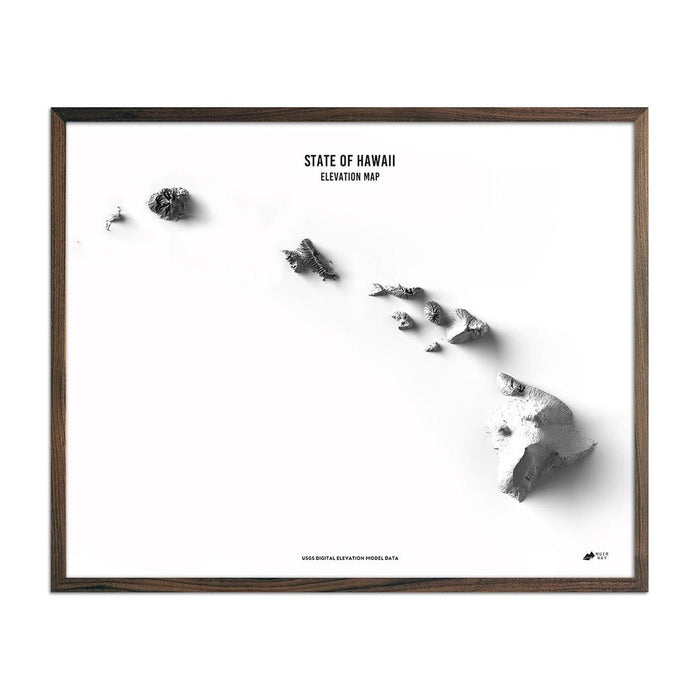 Hawaii Elevation Map - No Frame