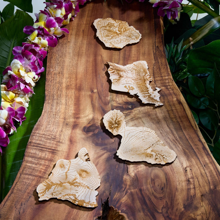 The Hawaiian Islands Coaster Set - North Drinkware