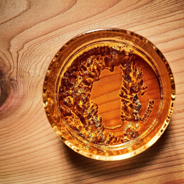 The Lake Tahoe Tumbler - North Drinkware