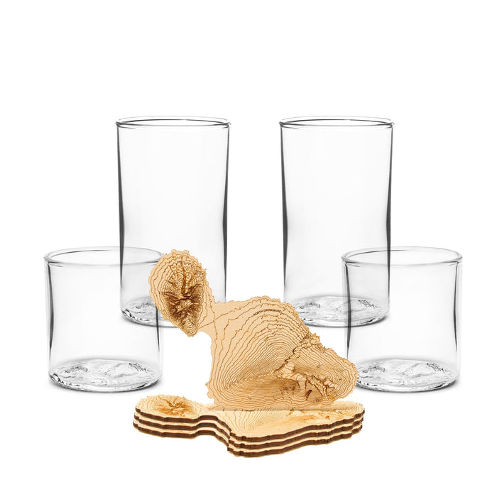 The Maui Box Set - North Drinkware