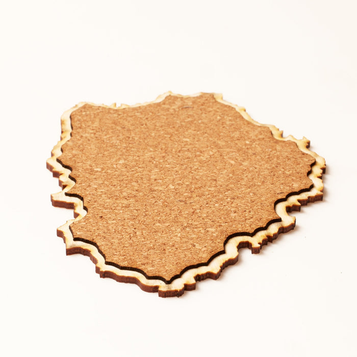 The Mt. Adams Coaster Set - North Drinkware