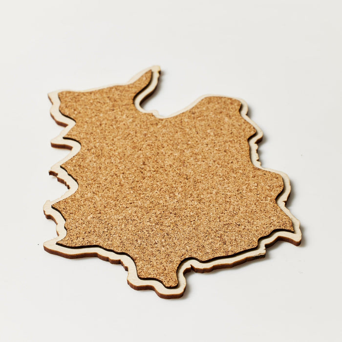 The Mt. Katahdin Coaster Set - North Drinkware