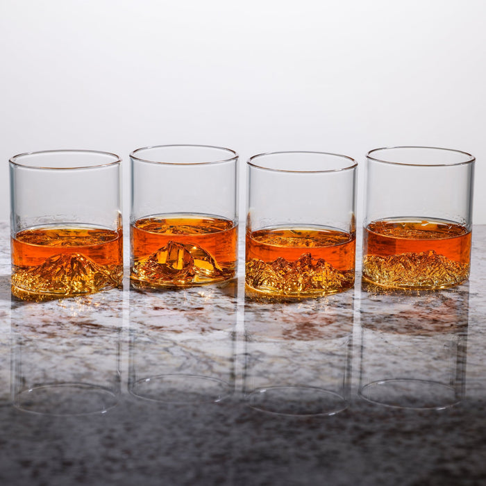 National Parks Tumbler Set of 4 - North Drinkware