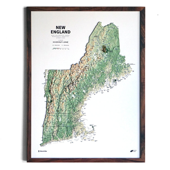 New England 3D Raised Relief Map - No Frame - North Drinkware