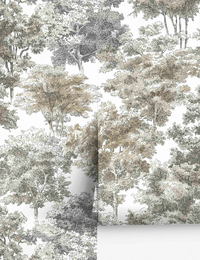 #color::gray