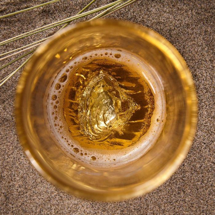 The Pacific City Pint - North Drinkware