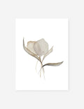 #color::unframed #frame-option::unframed #size::9--x-12- #size::12--x-16- #size::18--x-24- #size::30--x-40- #size::24--x-32- | Pale Bouquet Print unframed