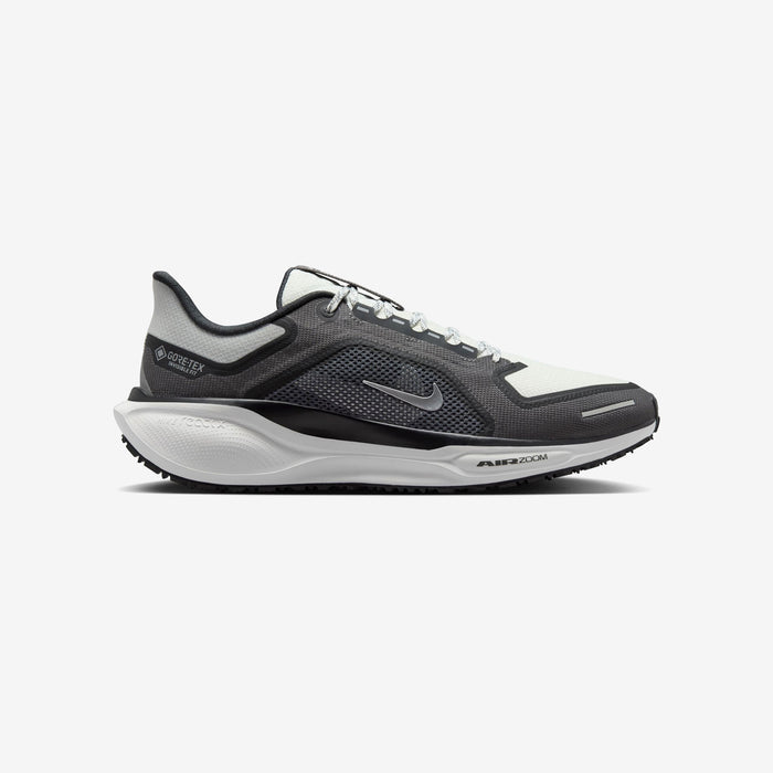 Pegasus 41 GORE-TEX