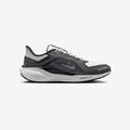 Pegasus 41 GORE-TEX