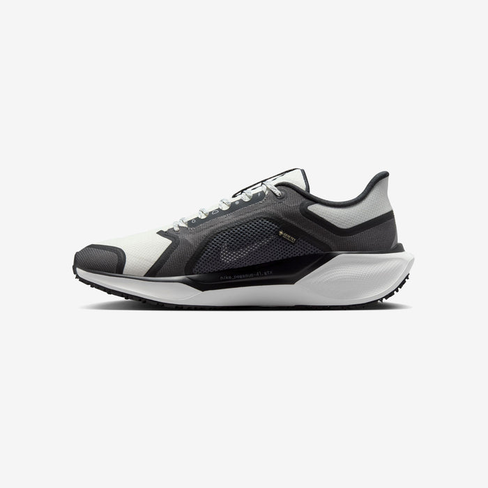 Pegasus 41 GORE-TEX