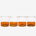 PNW Tumbler Set of 4 - North Drinkware