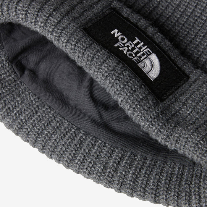 Salty Lined Beanie