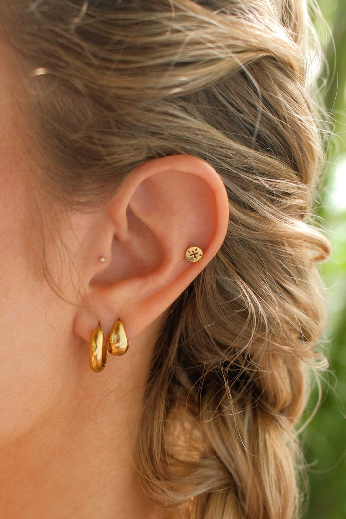 Sand Dollar Flat Back Stud