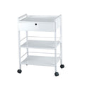 Esthetic Tables & Chairs Silver Fox Trolley 21" x 16"