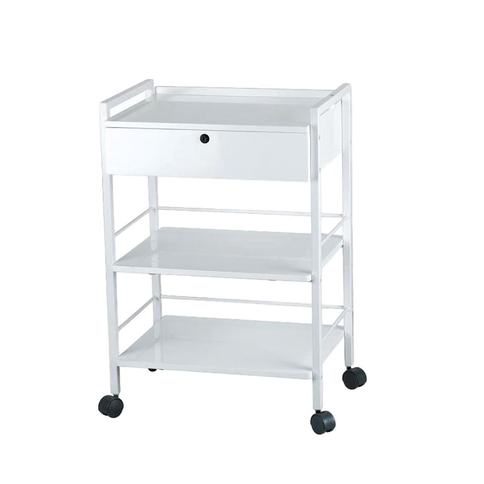 Esthetic Tables & Chairs Silver Fox Trolley 21" x 16"