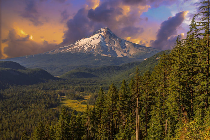 The Mt. Hood Topo Gift Wrap - North Drinkware