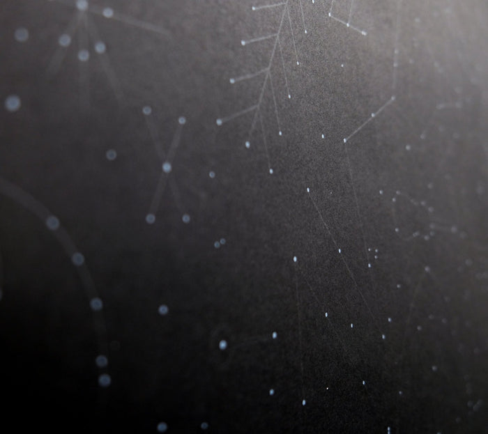 The MWJ Constellation Gift Wrap - North Drinkware