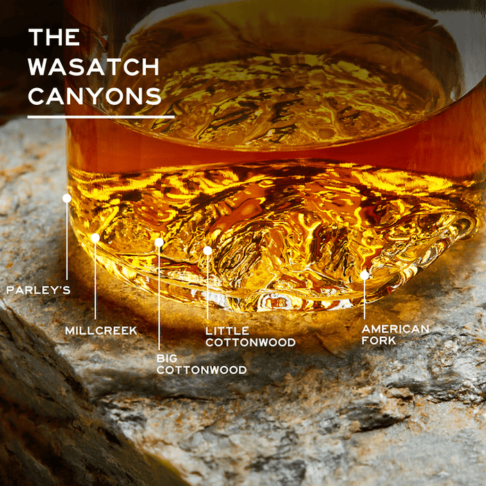 The Wasatch Tumbler - North Drinkware