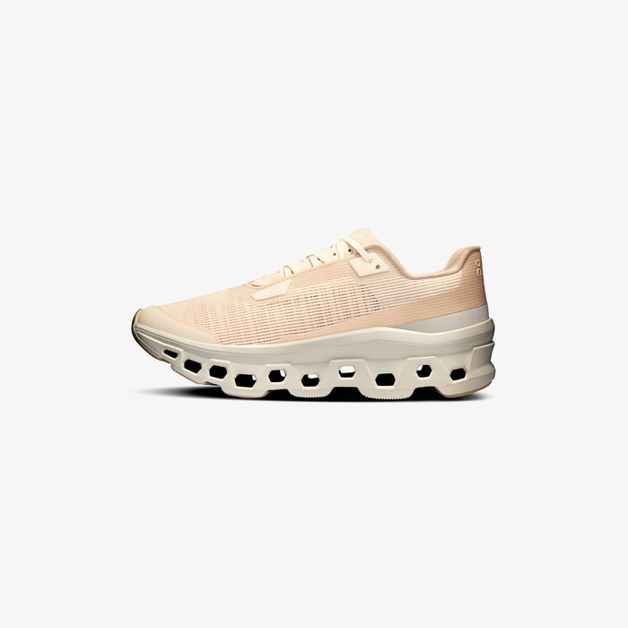 Wmns Cloudmonster Void